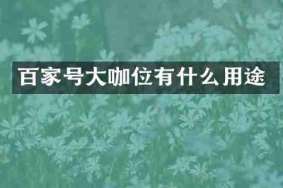 百家号大咖位有什么用途