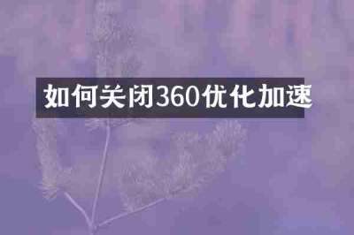 如何关闭360优化加速