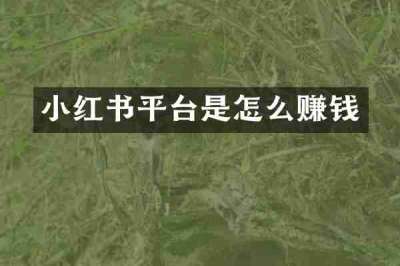 小红书平台是怎么赚钱
