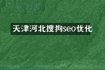 天津河北搜狗seo优化