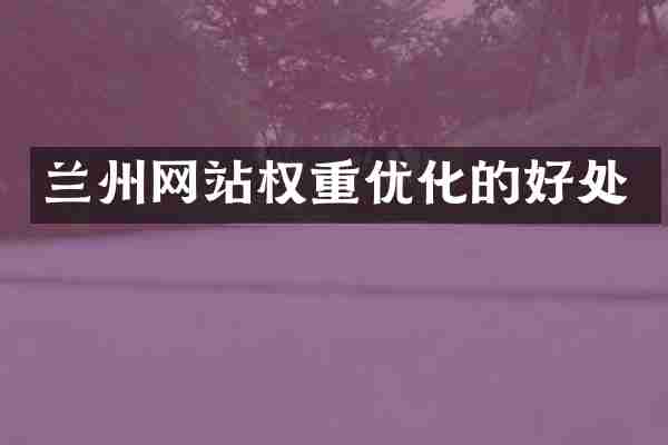 兰州网站权重优化的好处