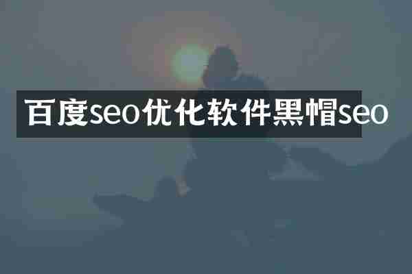 百度seo优化软件黑帽seo