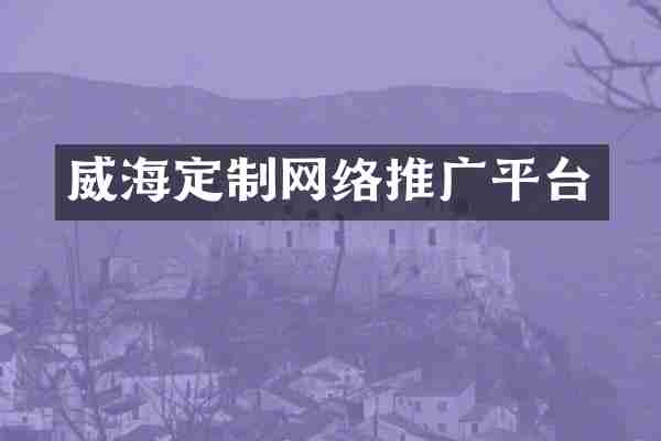 威海定制网络推广平台