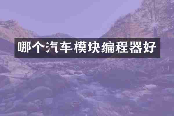 哪个汽车模块编程器好