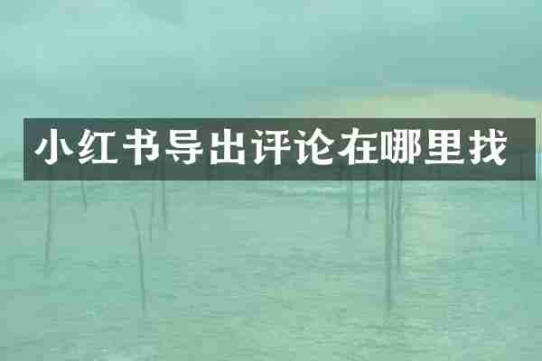 小红书导出评论在哪里找