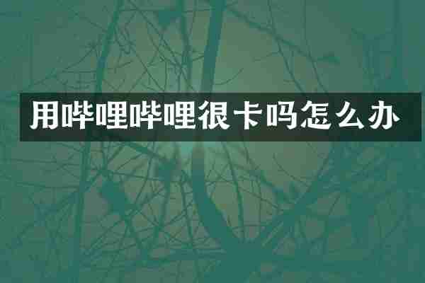 用哔哩哔哩很卡吗怎么办