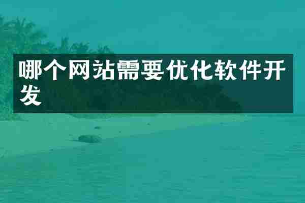 哪个网站需要优化软件开发