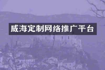 威海定制网络推广平台