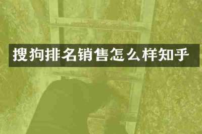 搜狗排名销售怎么样知乎