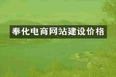 奉化电商网站建设价格