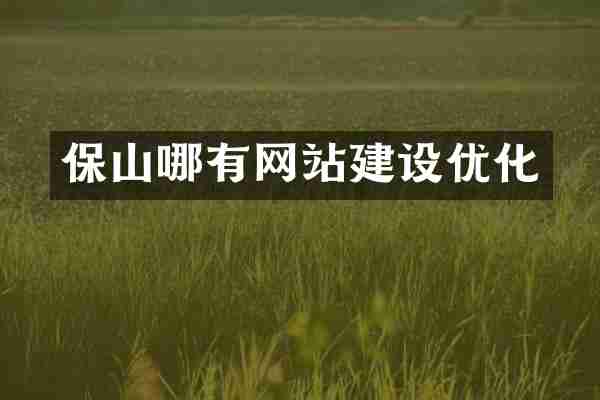 保山哪有网站建设优化