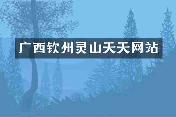 广西钦州灵山天天网站
