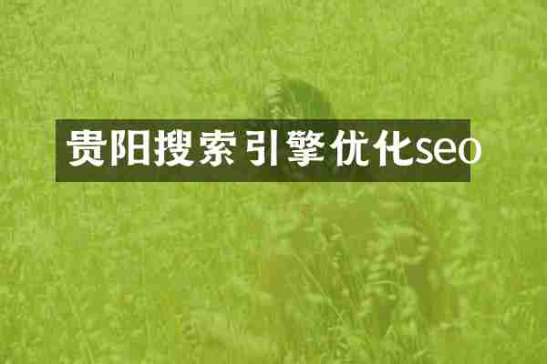 贵阳搜索引擎优化seo