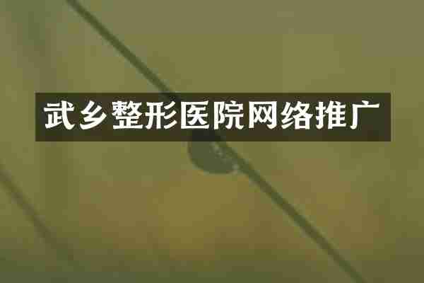 武乡整形医院网络推广