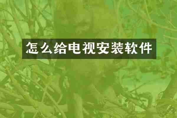 怎么给电视安装软件