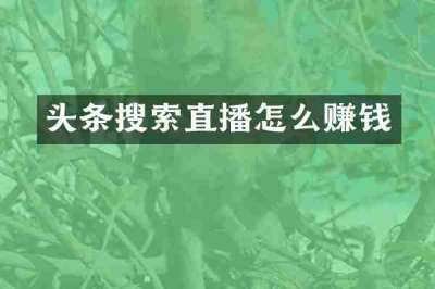 头条搜索直播怎么赚钱