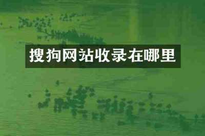 搜狗网站收录在哪里