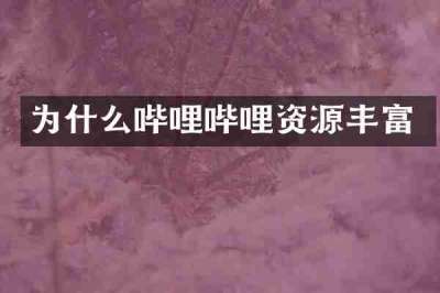 为什么哔哩哔哩资源丰富
