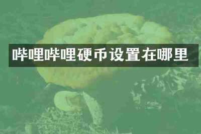 哔哩哔哩硬币设置在哪里