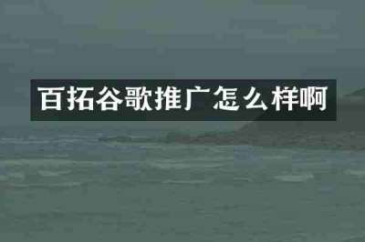 百拓谷歌推广怎么样啊