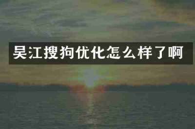 吴江搜狗优化怎么样了啊