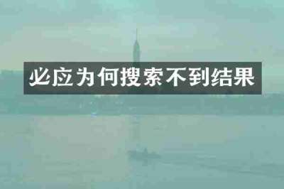 必应为何搜索不到结果