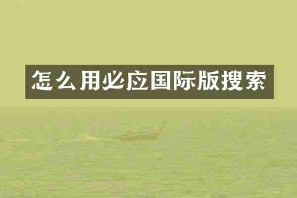 怎么用必应国际版搜索
