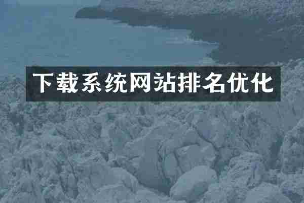 下载系统网站排名优化