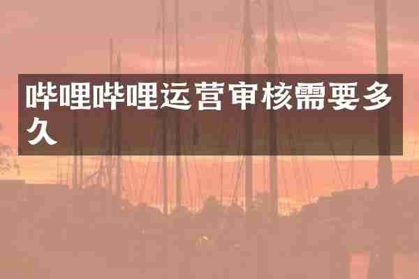 哔哩哔哩运营审核需要多久