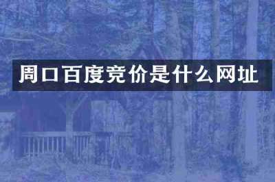 周口百度竞价是什么网址