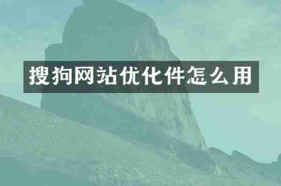 搜狗网站优化件怎么用