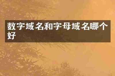 数字域名和字母域名哪个好