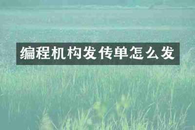 编程机构发传单怎么发