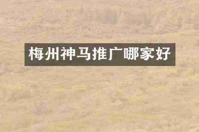 梅州神马推广哪家好