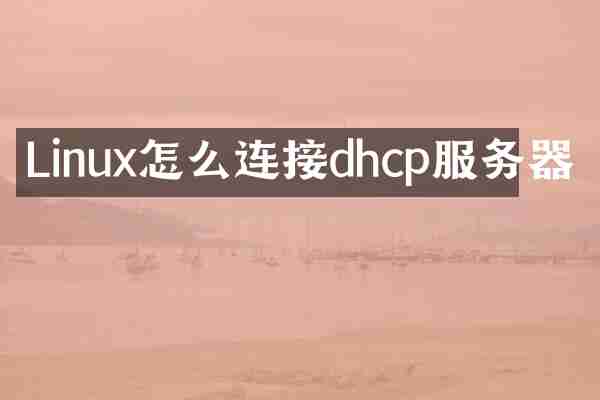 Linux怎么连接dhcp服务器