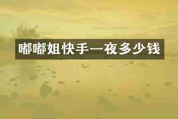 嘟嘟姐快手一夜多少钱