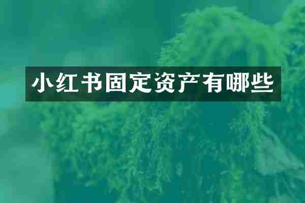小红书固定资产有哪些