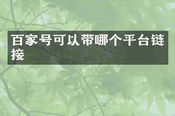 百家号可以带哪个平台链接