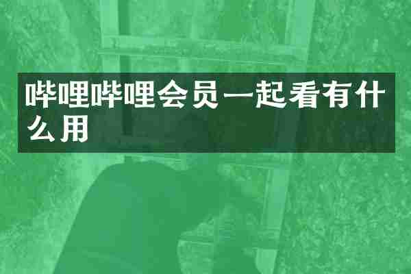 哔哩哔哩会员一起看有什么用
