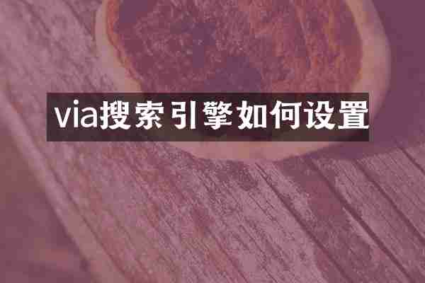 via搜索引擎如何设置