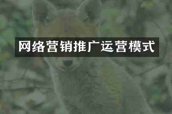 网络营销推广运营模式
