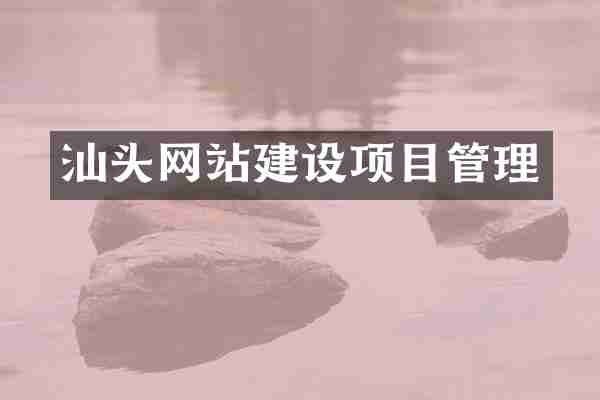 汕头网站建设项目管理