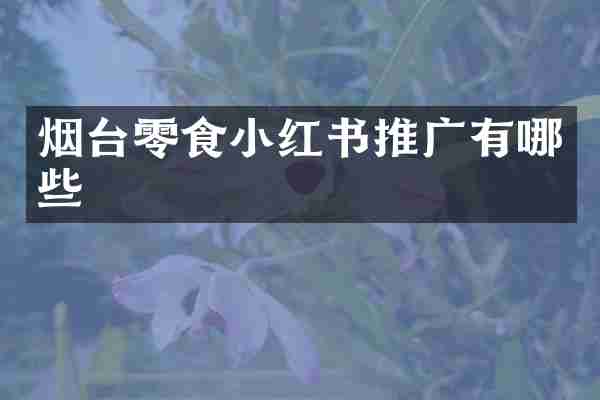 烟台零食小红书推广有哪些