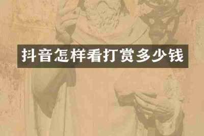 抖音怎样看打赏多少钱