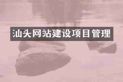 汕头网站建设项目管理