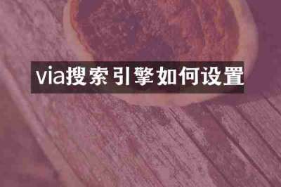 via搜索引擎如何设置