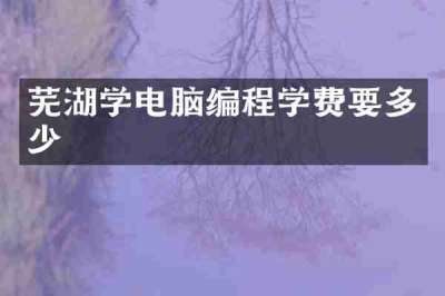 芜湖学电脑编程学费要多少