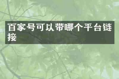 百家号可以带哪个平台链接