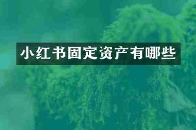 小红书固定资产有哪些