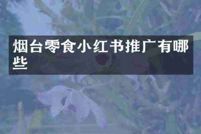 烟台零食小红书推广有哪些